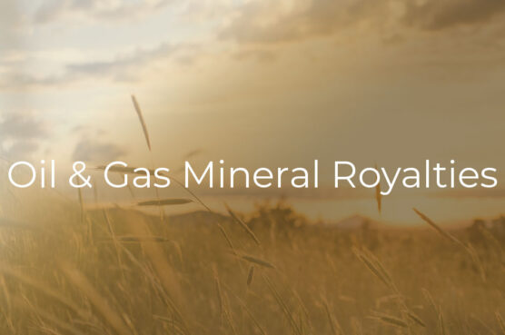 royalty-picture-to-use